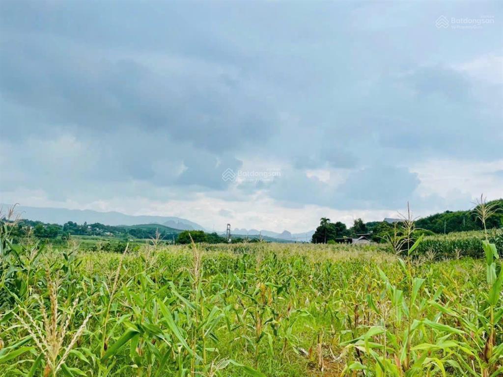 Chính chủ gửi bán lô đất view đẹp tại cao phong, hoà bình