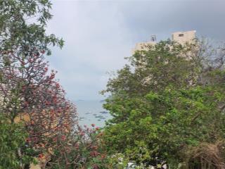Bán đất view biển bãi trước, mặt tiền hải đăng, phường 2, vũng tàu. s=1.000m2 ngang 60m, giá 30 tỉ