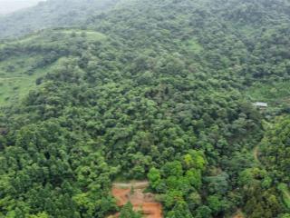 17.000 m2 đất rừng sản xuất khu vực tiến xuân thạch thất. gần trường quốc tế maya.