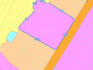 Bán đất xào đường phạm duy trinh thị trấn đất đỏ 4321m2 quy hoạch thổ cư đường nhựa