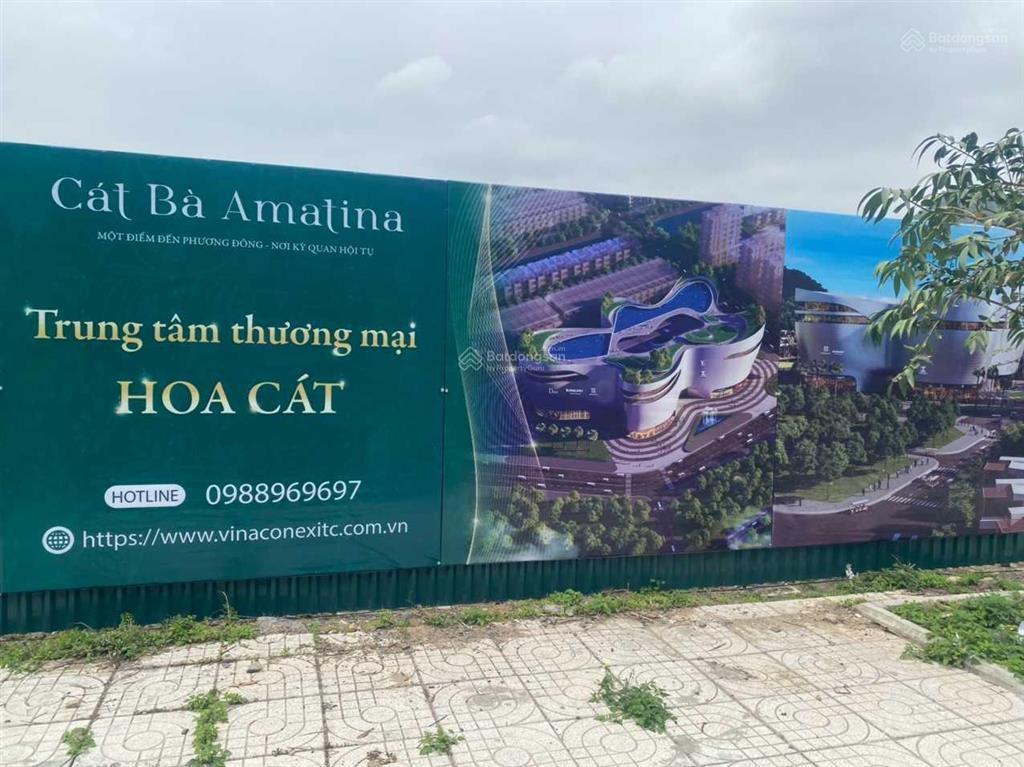 Bán liền kề vinaconex cát bà amatina, 96m2, giá tốt, chuẩn bị xây nhà