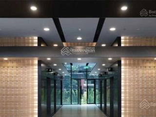 Bql tòa nhà cho thuê văn phòng hạng a, diện tích linh hoạt, giá thuê hấp dẫn, nhiều ưu đãi