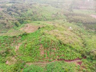 Chính chủ cần bán hơn 1200m2 đất vườn tại thống nhất đồng nai, shr, giá chỉ 850 triệu