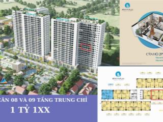 Bán căn 54m2 số 08,09 tầng trung giá rẻ hơn cđt 150tr chung cư bình an plaza