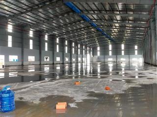 Cho thuê dt 1550m2 kho, sân bãi 1000m2, pccc tự động, cont 24f vào