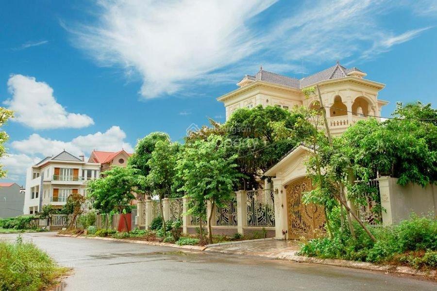  em mười để nhật toàn bộ bảng nguồn cập nhật thông tin 24/7 dự án new city phố nối