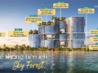 Bán căn hộ studio tòa sky forest diện tích 31,5m2 giá 1,77 tỷ khu đô thị ecopark  0983 551 ***