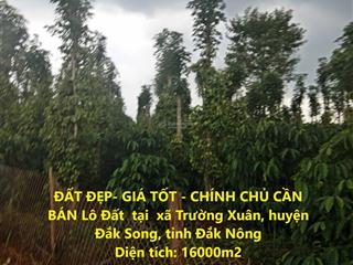 Đất đẹp giá tốt  chính chủ cần bán lô đất tại xã trường xuân, huyện đắk song, tỉnh đắk nông