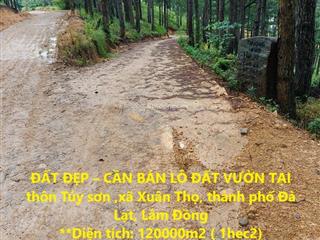 Đất đẹp  cần bán lô đất vườn tại thôn túy sơn ,xã xuân thọ, thành phố đà lạt, lâm đồng