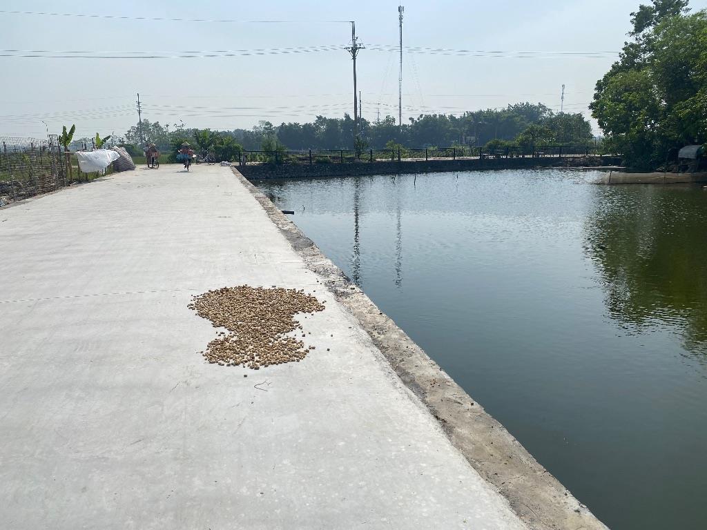 Lô Góc 62.7m2 Tam hưng - đường rộng như sân bay - ô tô vào nhà - 300m ra trục kinh tế - nhỉnh 3 tỷ 