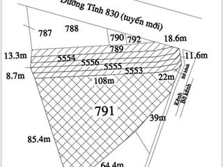 Cần bán gấp mặt tiền đường 830b xã long sơn huyện cần đước, tỉnh long an