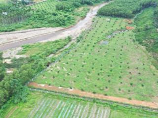Cần bán lô đất sổ trồng cây lâu năm góc hai mặt tiền ngay cánh đồng lúa sát suối khí hậu mát mẻ