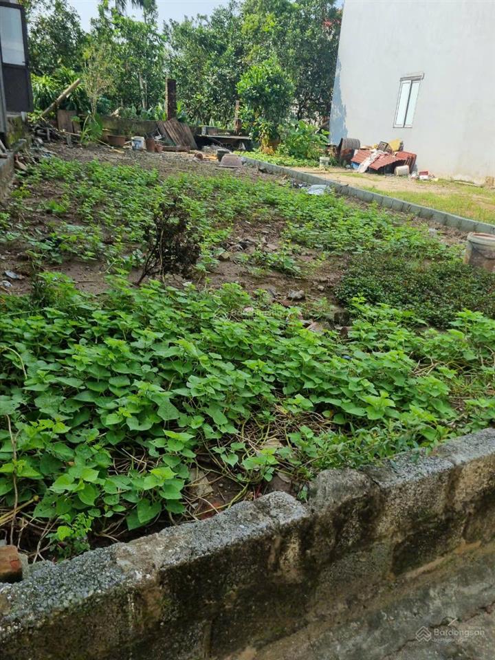 Cần bán gấp lô đất siêu đẹp tại văn giang, diện tích 111,5m2 giá siêu hợp lý, mời 0941 195 ***