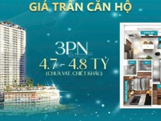 Căn hộ phú mỹ hưng giá chỉ 4,5 tỷ diện tích 96m2 giá rẻ nhất phú mỹ hưng