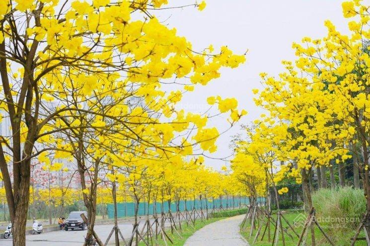 Quỹ căn cho thuê độc quyền 1234pn giá rẻ tại chung cư park kiara lê trọng tấn, hà đông 13 tr/th