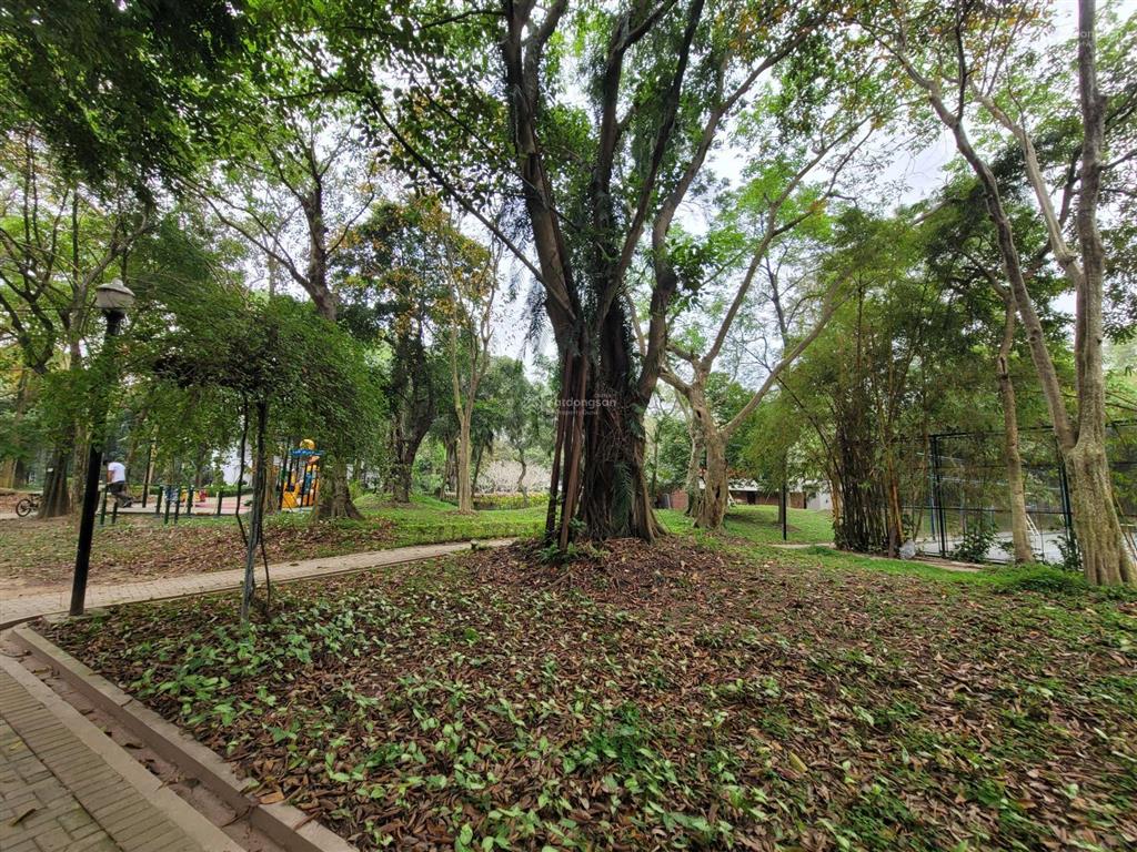 Cần bán gấp sh 204m2 khu spring valley ecopark. hải 0704 725 ***