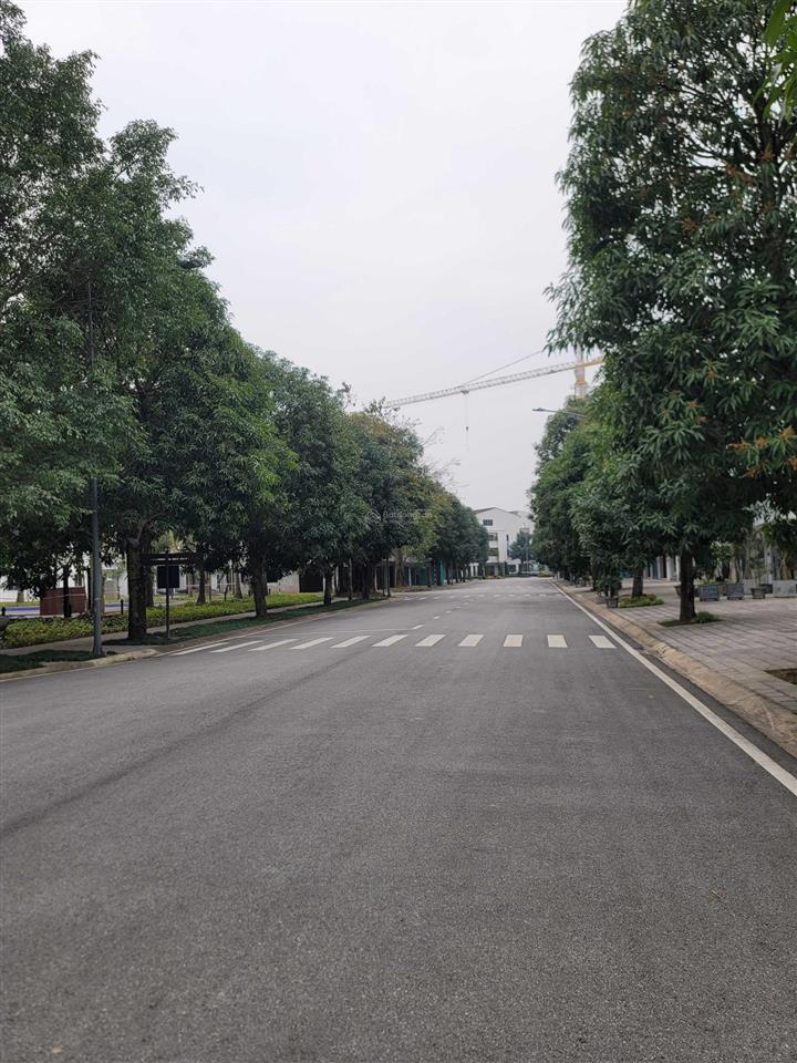 Cần bán gấp sh 204m2 khu spring valley ecopark. hải 0704 725 ***