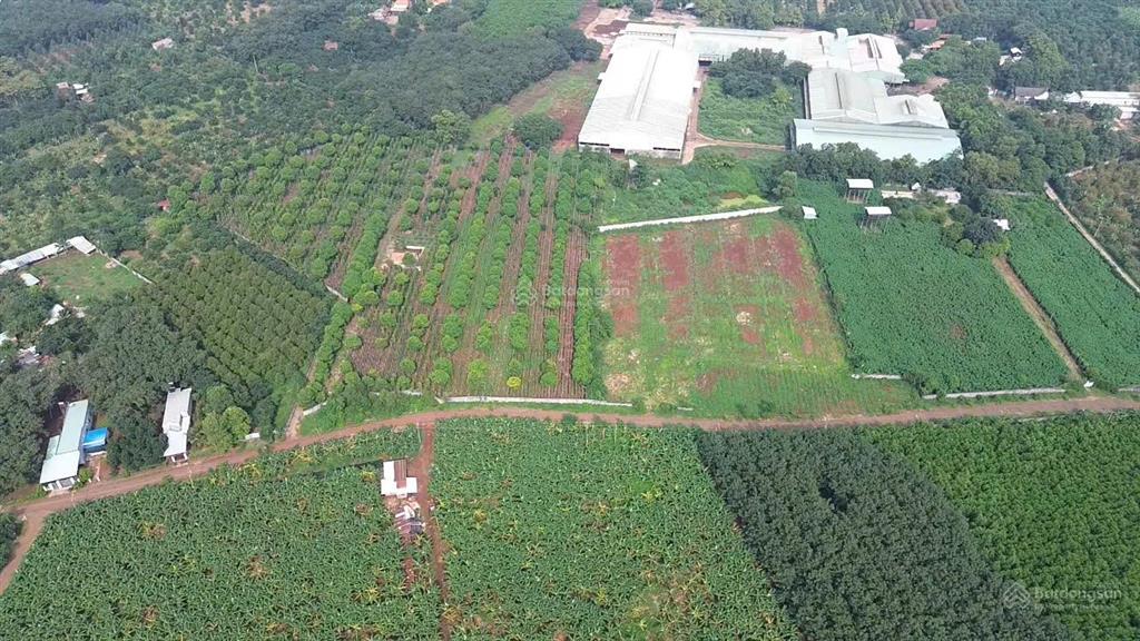 Bán lô đất siêu rẻ sông xoài 2,8ha 300m2 tc giá 28 tỷ. tài 0707 004 ***