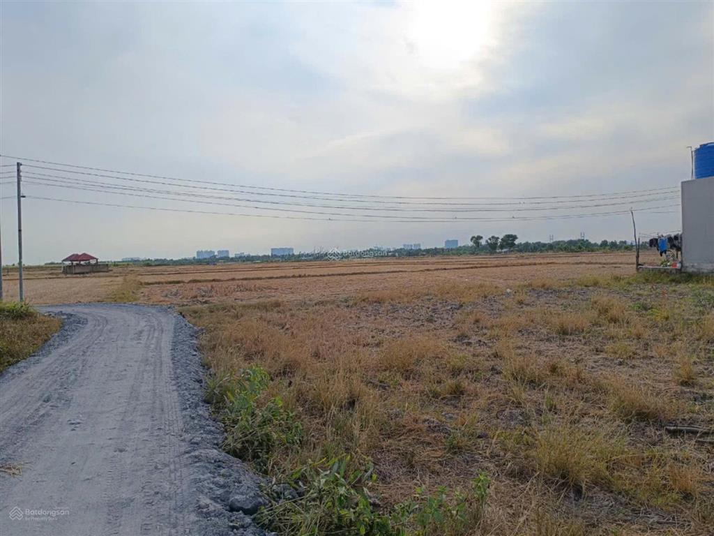 Chính chủ bán đất 520m2/1.8tỷ xã phú hữu cách phà quận 2 chỉ 2km. đường xe hơi, khu dân cư, shr