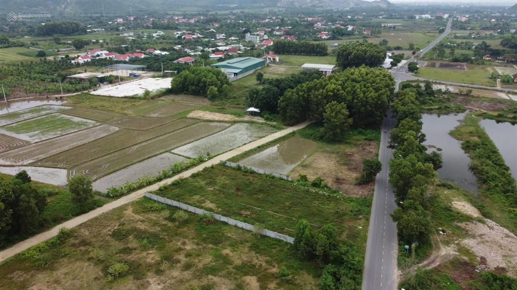 Đất thổ cư mặt tiền đường tỉnh lộ 8 đường nhựa rộng, quy hoạch 42m, diên phước, diên khánh
