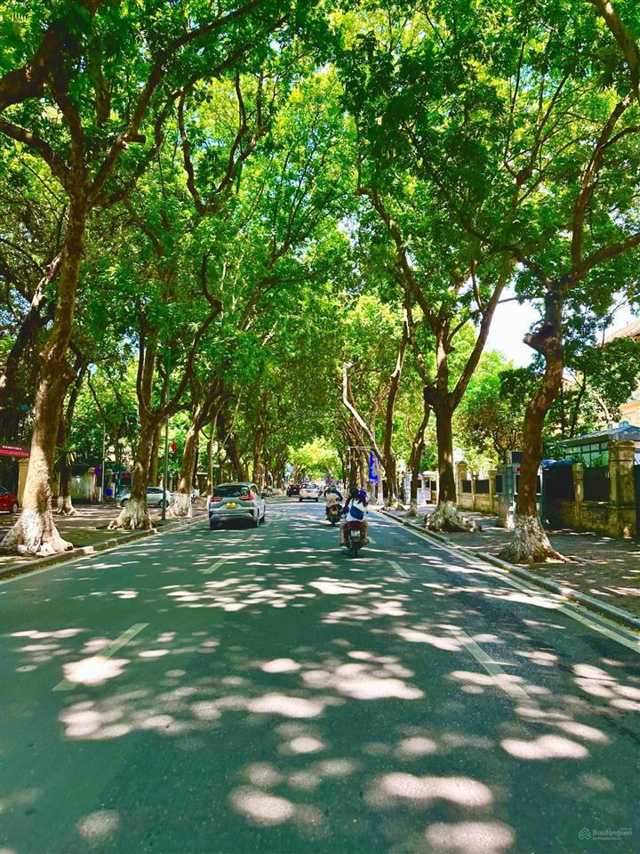 Cần bán nhà mặt phố phan đình phùng, ba đình. dt sổ 85m2 x mt 6m. vị trí đẹp  kd sầm uất