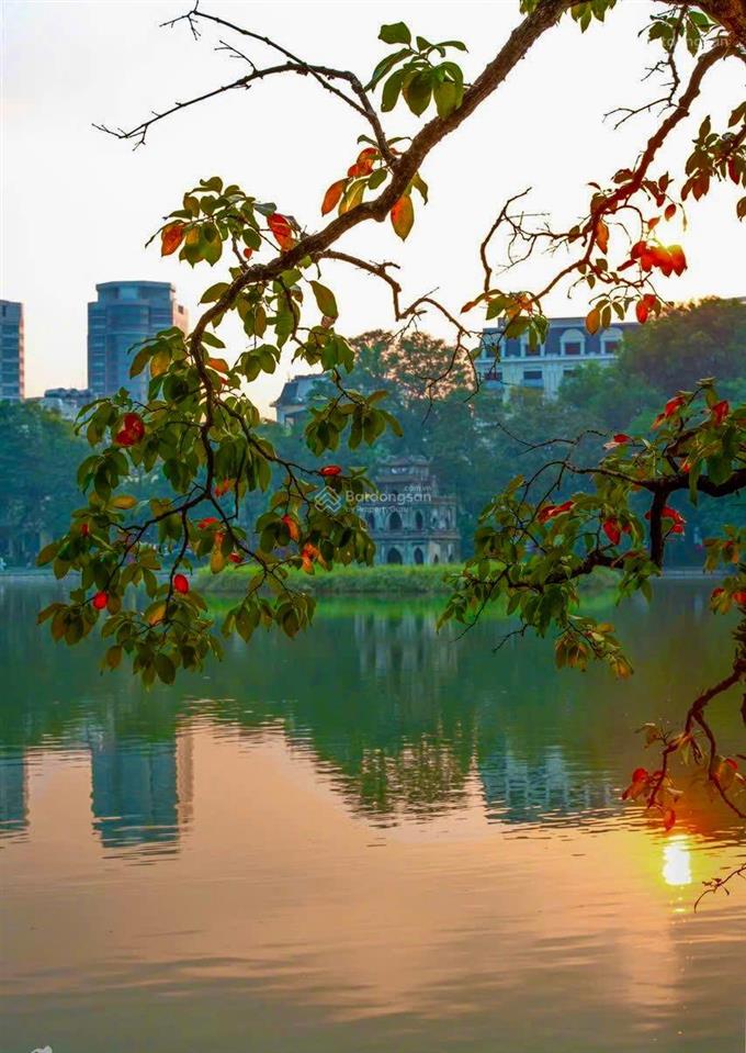 Cần bán nhà mặt phố lý nam đế, hoàn kiếm. dt 230m2 x 8t, 1 hầm, mt 7,5m. vị trí đoạn đẹp nhất phố