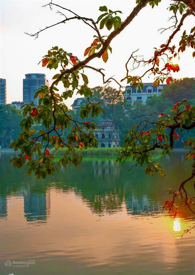 Cần bán nhà mặt phố huế, hoàn kiếm. dt sổ đỏ 310m2 x 10t, mt 8,5m. vị trí nhà bên lẻ gần hàng bài