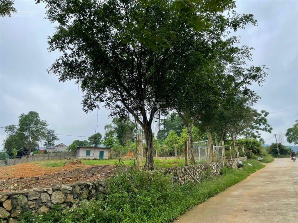 Đất nghỉ dưỡng đầu tư tại yên bài, ba vì view cánh đồng view núi đẹp