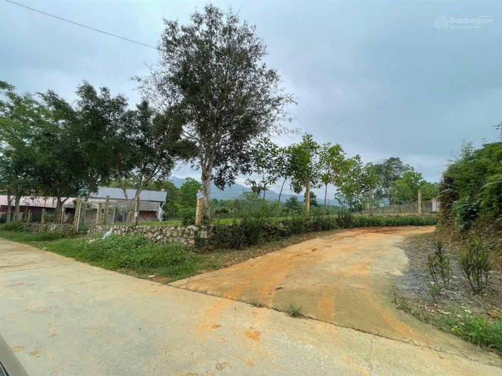 Đất nghỉ dưỡng đầu tư tại yên bài, ba vì view cánh đồng view núi đẹp