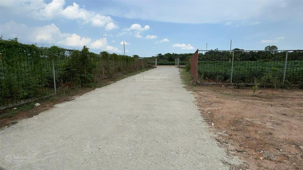 Cần bán 1,2 ha đất thực tế sử dụng 1,5 ha. có 600m2 thổ cư mặt đường 8m gần khu cn cao hắc dịch