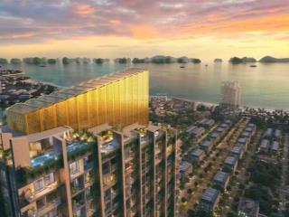 Bán căn hộ duplex 3 tầng 400m2 sở hữu bể bơi riềng nội thất cơ bán view chính biển hạ long