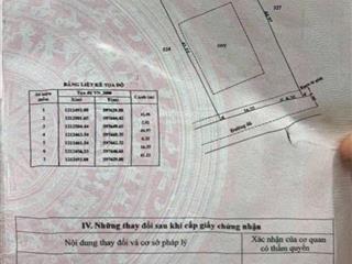 22x41m = 971m2 (300m2 thổ cư) đường nguyễn thị da  bình mỹ  củ chi (1 sẹc hà duy phiên)