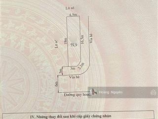 Bán đất tuyến 2 đường bùi viện  lê hồng phong lô góc siêu đẹp