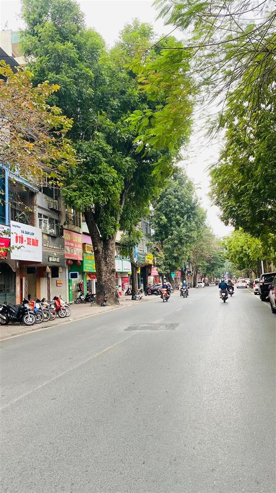 Siêu phẩm mặt phố ngọc lâm, thông số vàng, kinh doanh sầm uất. dt122m2, mặt tiền 7m