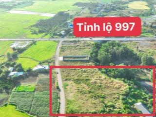 Đất làm view sào 5421m2 view hồ lồ ô, long tân, huyện đất đỏ