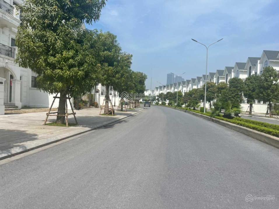 Chuyển nhượng căn biệt thự lk 100m2, nằm trên trục đường 30m, vinhomes ocean park  22.x tỷ