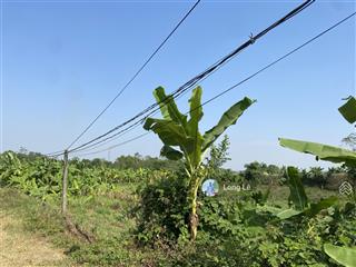 Bán đất làm nghỉ dưỡng, tại liên sơn  lương sơn  hb view cánh đồng, xe 45 chỗ tránh nhau, 2650m2.