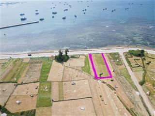 Đất lý sơn view biển quy hoạch thổ cư, mặt tiền đường biển ô tô 12m vỉa hè trồng dừa mát mẻ