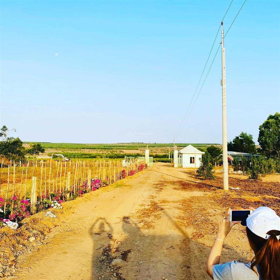 Tôi có miếng đất 1,8sào cln cần bán, cách biển bàu trắng chỉ 1,8km, giá chỉ 329 triệu, oto tới đất