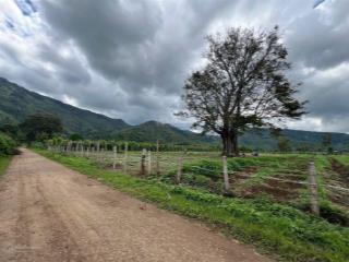 Chính chủ bán đất vườn view đẹp trung tâm kdl biển hồ  chư đăng ya, vé sân bay pleiku 15