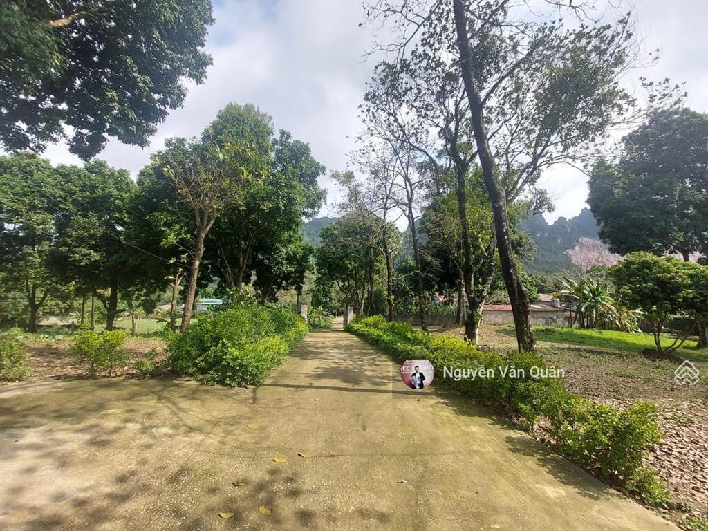Giảm 3.5 tỷ từ 18.5 tỷ còn 15 tỷ! sở hữu 14.500m2 nhà + khuôn viên sân vườn tại lương sơn