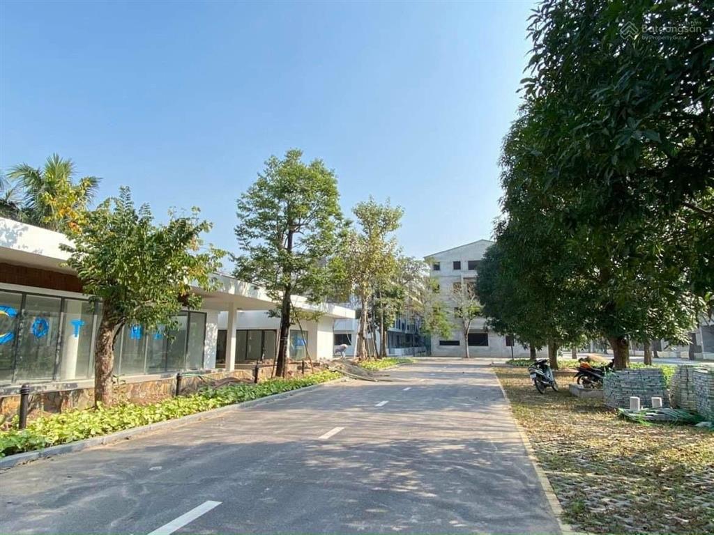Bán căn phố cúc ecopark căn góc cạnh công viên mùa xuân và chung cư vị trí đẹp để ở và kinh doanh