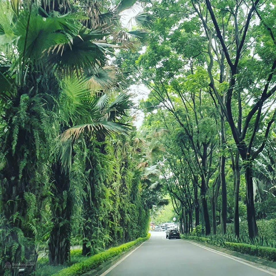 Bán căn phố cúc ecopark căn góc cạnh công viên mùa xuân và chung cư vị trí đẹp để ở và kinh doanh