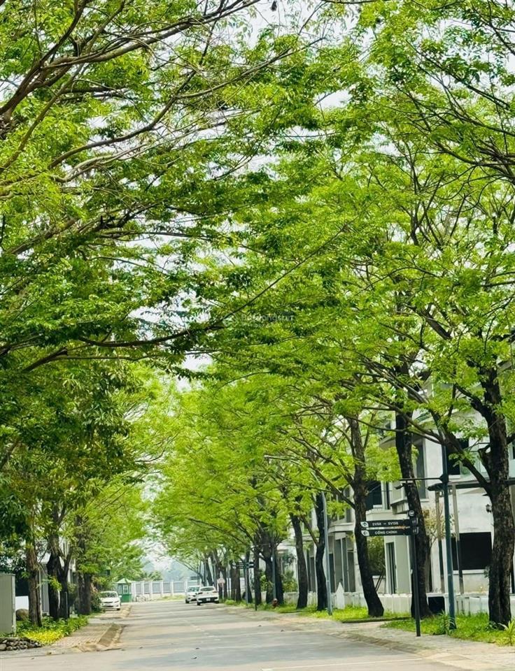 Bán căn phố cúc ecopark căn góc cạnh công viên mùa xuân và chung cư vị trí đẹp để ở và kinh doanh