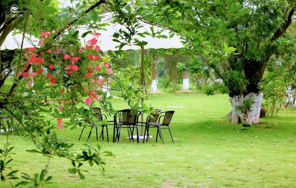 Bán căn phố cúc ecopark căn góc cạnh công viên mùa xuân và chung cư vị trí đẹp để ở và kinh doanh