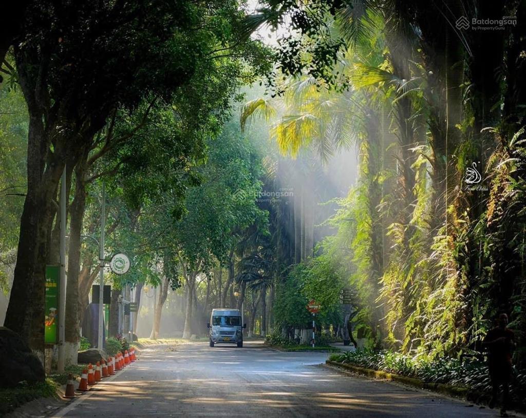 Bán căn phố cúc ecopark căn góc cạnh công viên mùa xuân và chung cư vị trí đẹp để ở và kinh doanh