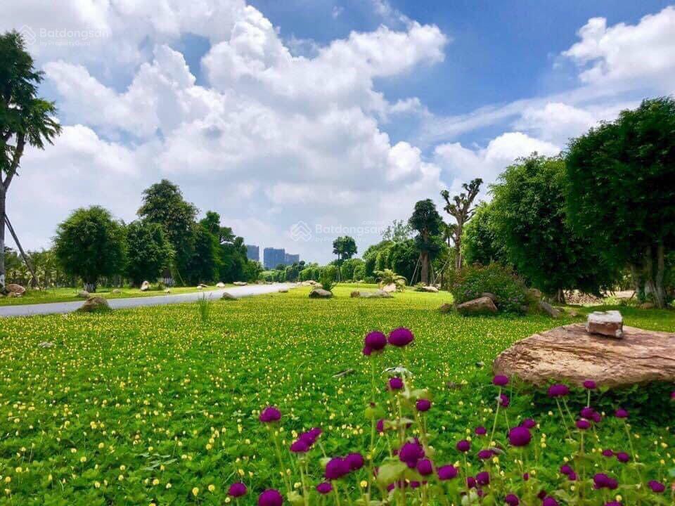 Bán căn phố cúc ecopark căn góc cạnh công viên mùa xuân và chung cư vị trí đẹp để ở và kinh doanh