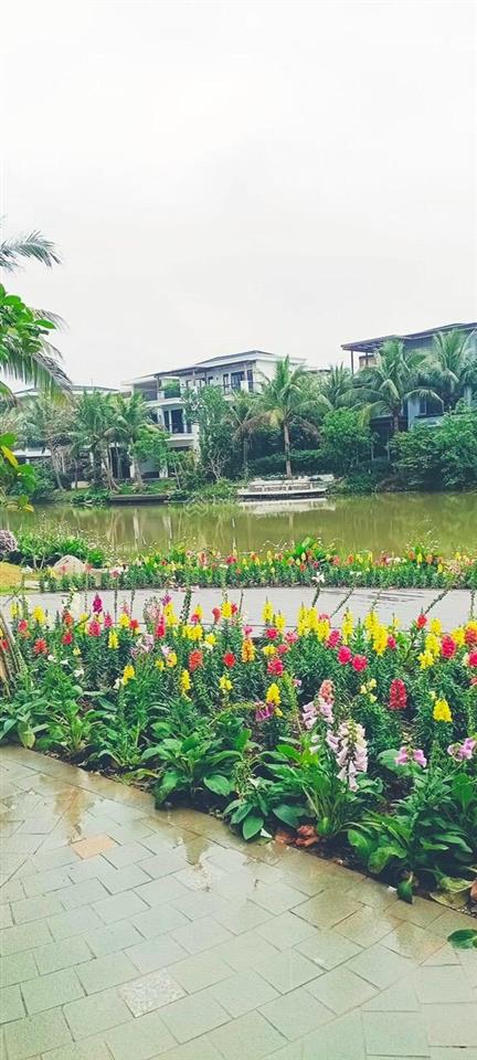 Bán căn phố cúc ecopark căn góc cạnh công viên mùa xuân và chung cư vị trí đẹp để ở và kinh doanh