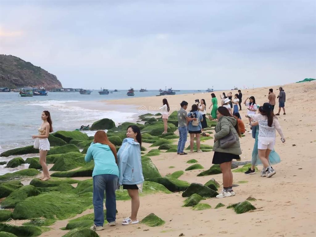 Chính chủ cần bán nhiều lô đất biển hòn khô, nhơn hải, quy nhơn. giá rẻ nhất 2 tỷ 050trđ lô 65m2