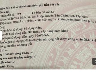 Cần tiền cắt lỗ khu đất đẹp thuận lợi làm nhà ở, nhà xưởng kinh doanh